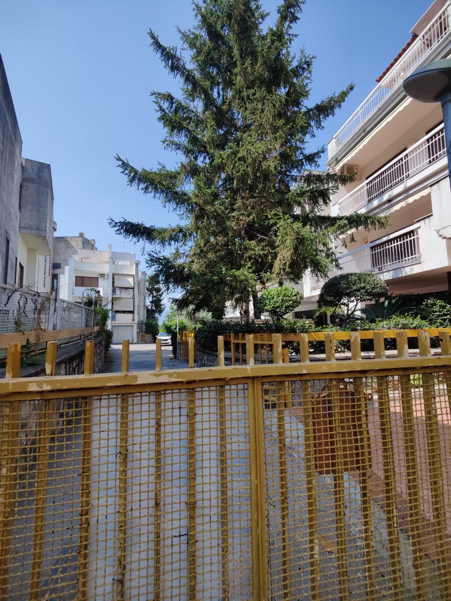 Villa Varano Castellammare di Stabia Ngoại thất bức ảnh